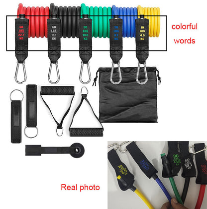 Fitness Rally Elastic Resistance Band – Strength & Flexibility Training