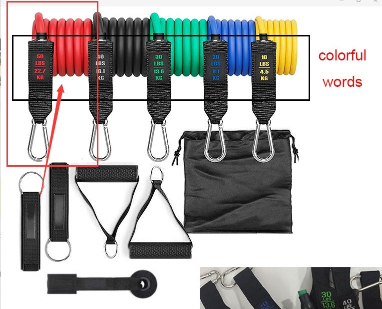 Fitness Rally Elastic Resistance Band – Strength & Flexibility Training